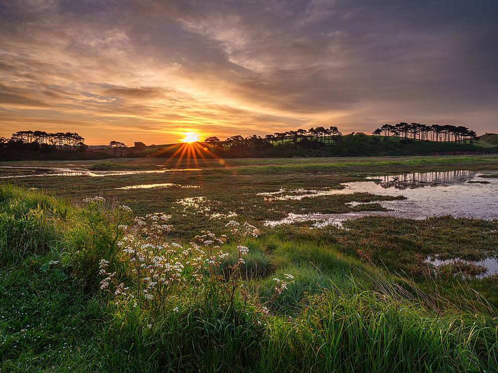 Sunrise across the salt marshes of the River Otter at Budleigh Salterton, Devon, England, United Kingdom, Europe