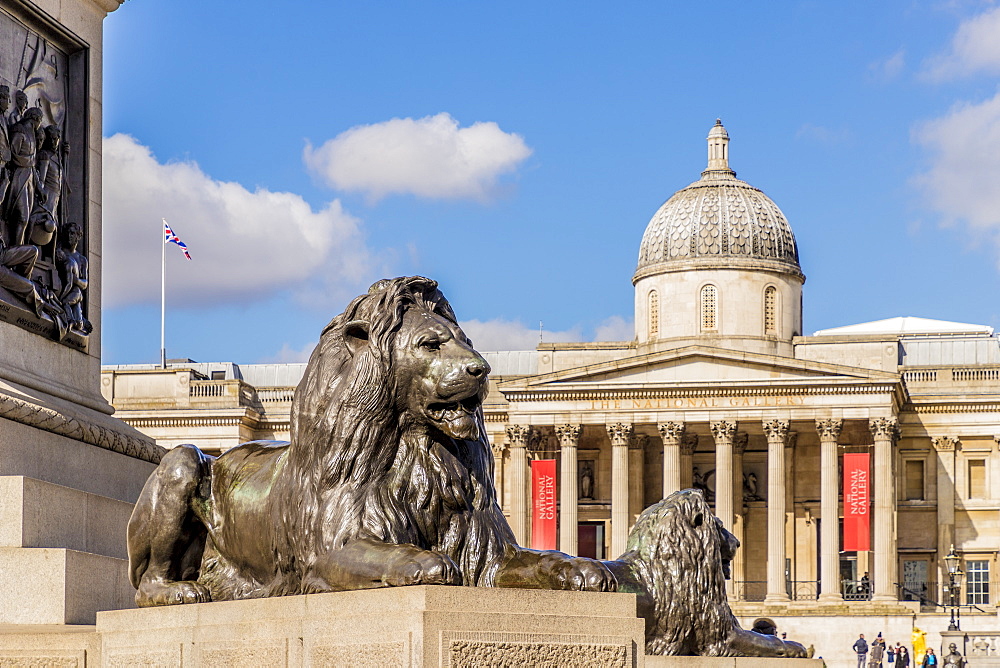 Trafalgar Square Lions and the National Gallery, Trafalgar Square, London, England, United Kingdom, Europe