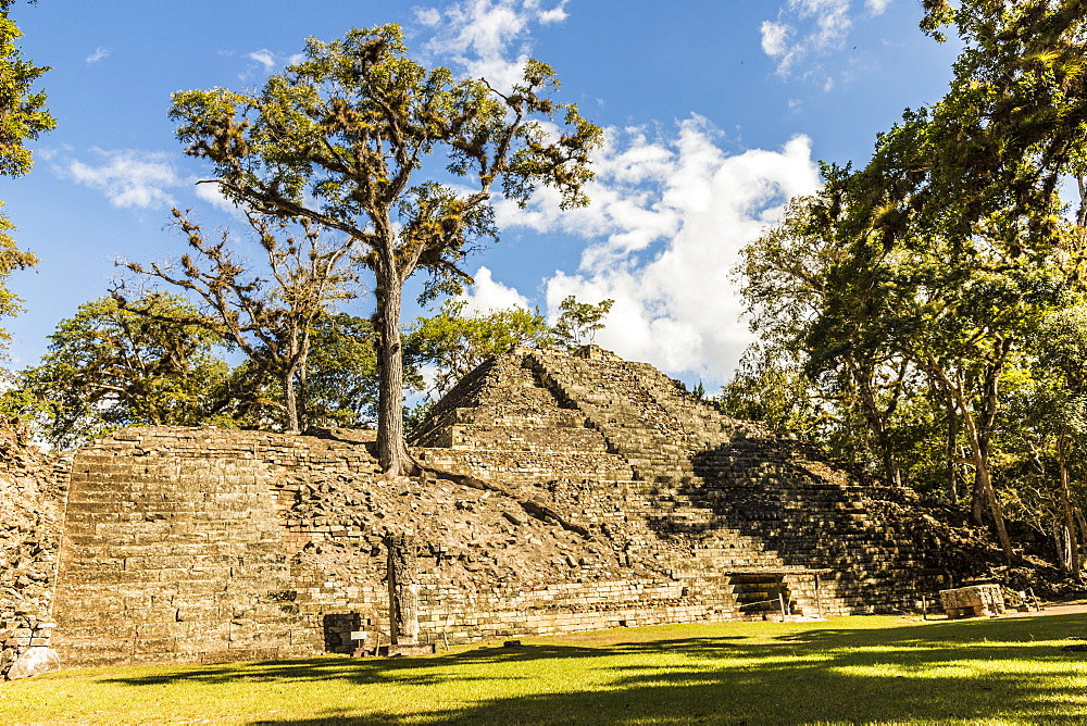 The Great Plaza, part of the Copan Ruins, a Mayan archaeological site, UNESCO World Heritage Site, Copan, Honduras, Central America