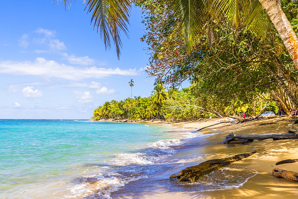 Punta Uva beach in Puerto Viejo, Limon, Costa Rica, Central America