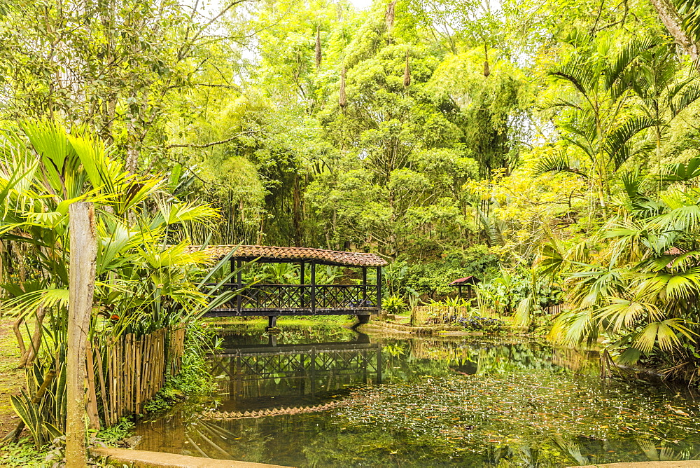 The pond inside Los Balsos botanical gardens in Jerico, Antioquia, Colombia, South America