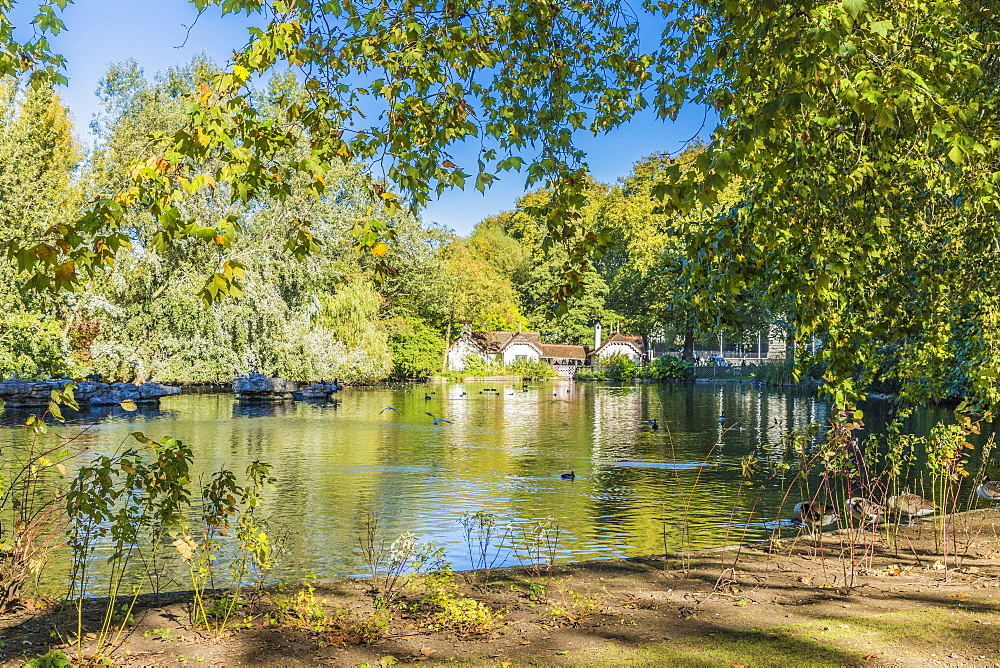 A view of St. James's Park lake in St. James's Park, London, England, United Kingdom, Europe