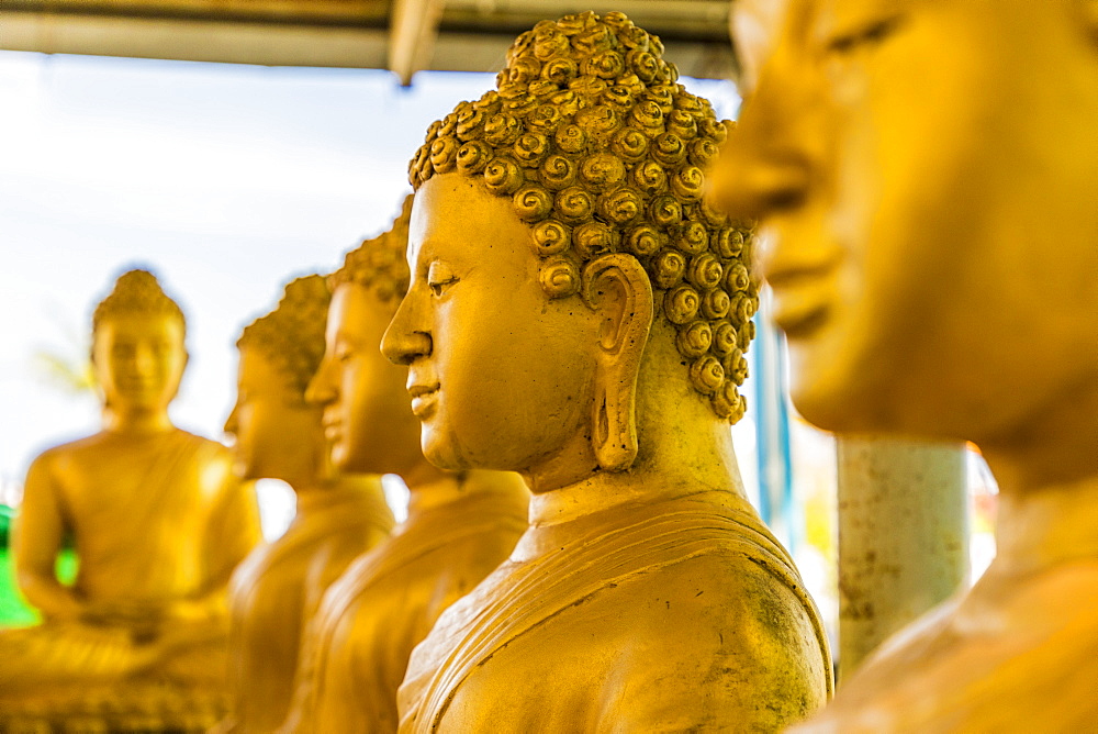 A row of seated Buddhas at the Big Buddha complex (The Great Buddha) in Phuket, Thailand, Southeast Asia, Asia