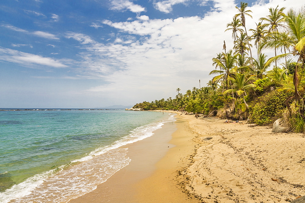 A view of a beach, jungle and the Caribbean sea in Tayrona National Park in Colombia, South America