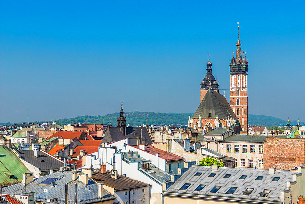 An elevated view towards St. Marys Basilica over the medieval old town, UNESCO World Heritage Site, in Krakow, Poland, Europe