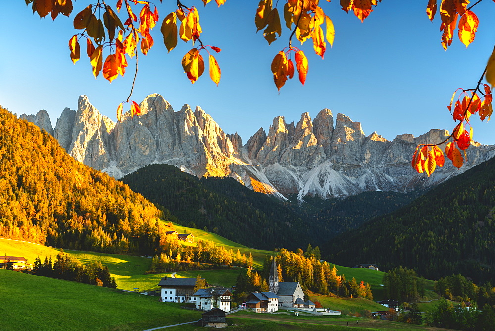 Santa Maddalena and the Odle Group at sunset in autumn, Funes Valley (Val di Funes), Trentino Alto Adige-South Tyrol, Dolomites, Italy, Europe