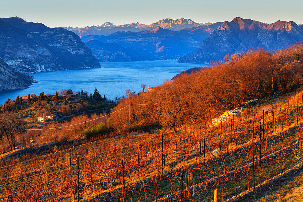 Autumn in Franciacorta and Iseo lake at sunset, Brescia province, Lombardy district, Italy, Europe