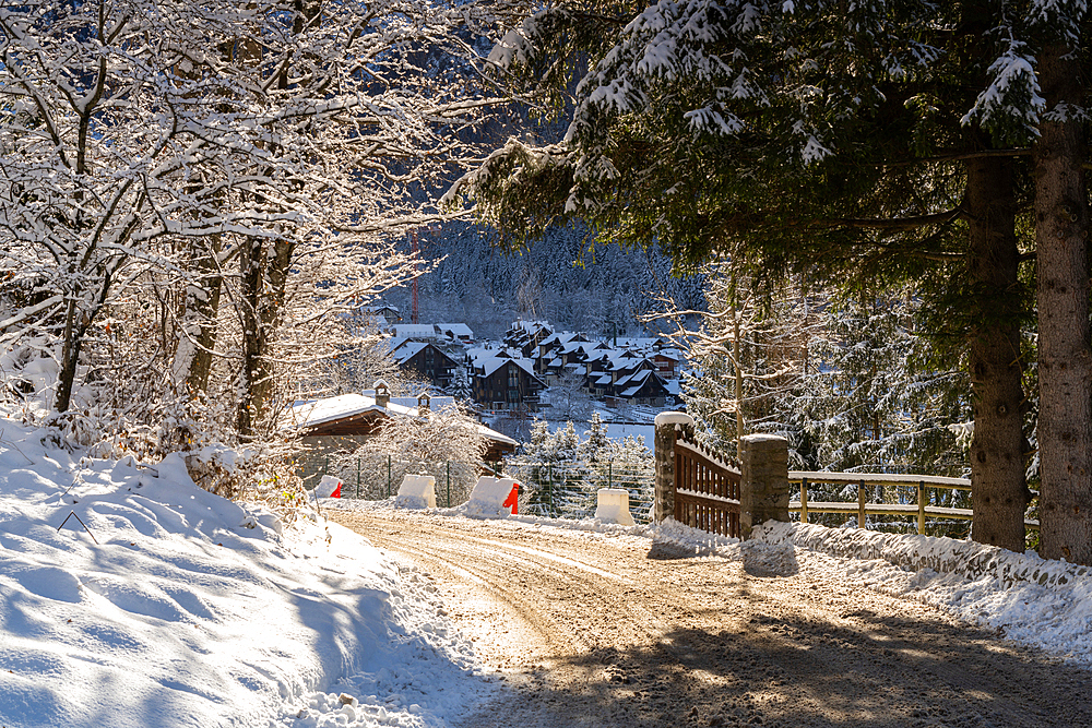 Winter season in Ponte di Legno, Vallecamonica, Brescia province, Lombardy district, Italy, Europe