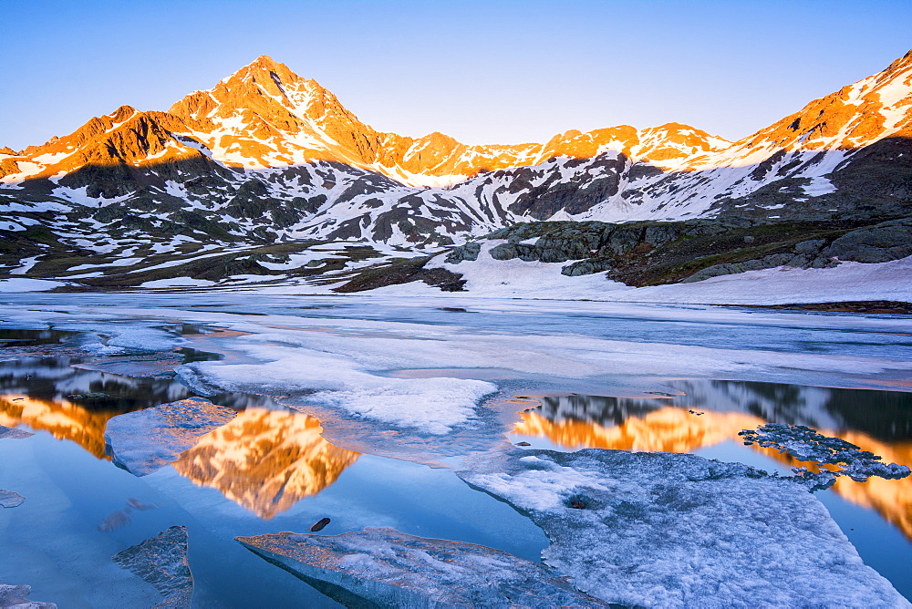 Tre Signori peak reflected in an alpine lake at thaw, Gavia Pass, Val Camonica, Stelvio National Park, Brescia Province, Lombardy, Italy, Europe