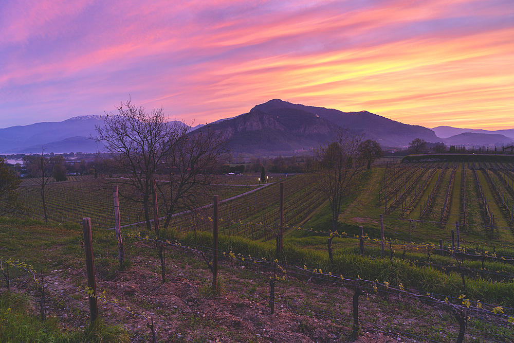 Landscape of Franciacorta country area in Brescia province, Lombardy, Italy, Europe