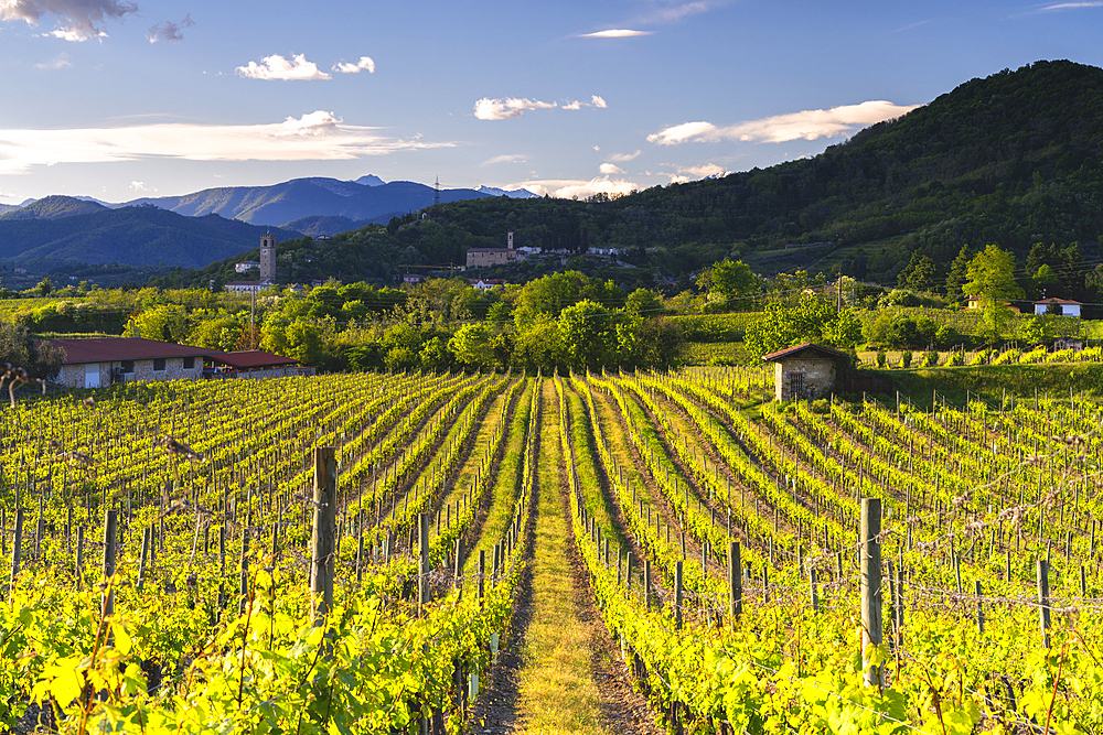 Landscape of Franciacorta country area in Brescia province, Lombardy, Italy, Europe