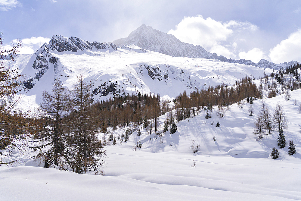 Hiking in Adamello park in Winter season, Vallecamonica, Brescia province, Lombardy district, Italy, Europe