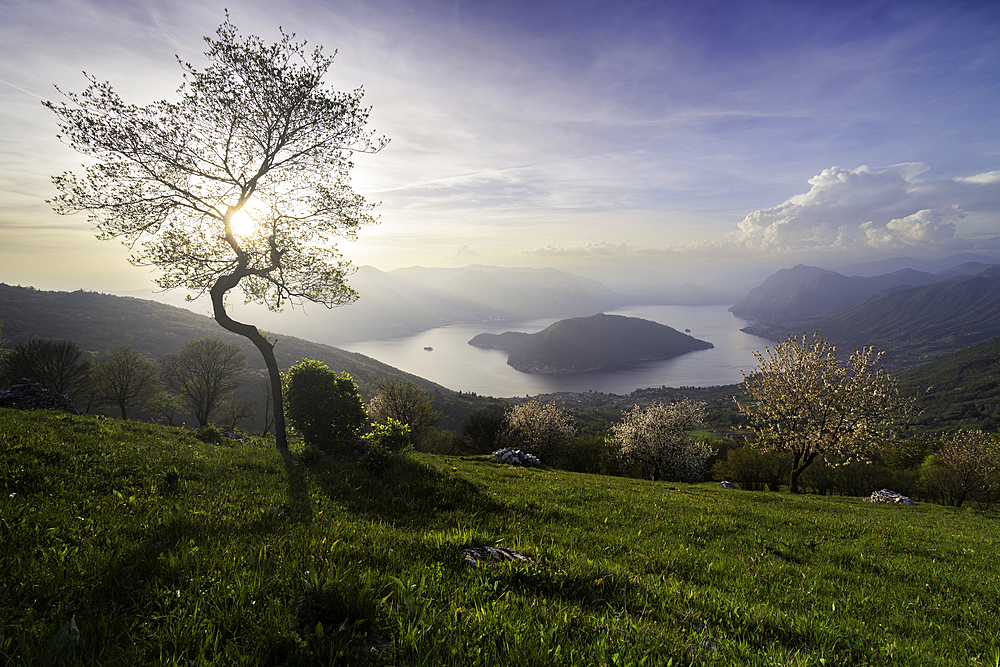 Sunset over Iseo lake and Monte Isola, Brescia province in Lombardy district, Italy.