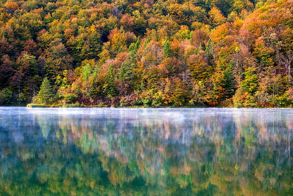 Details of autumn in Plitvice National Park, UNESCO World Heritage Site, Croatia, Europe