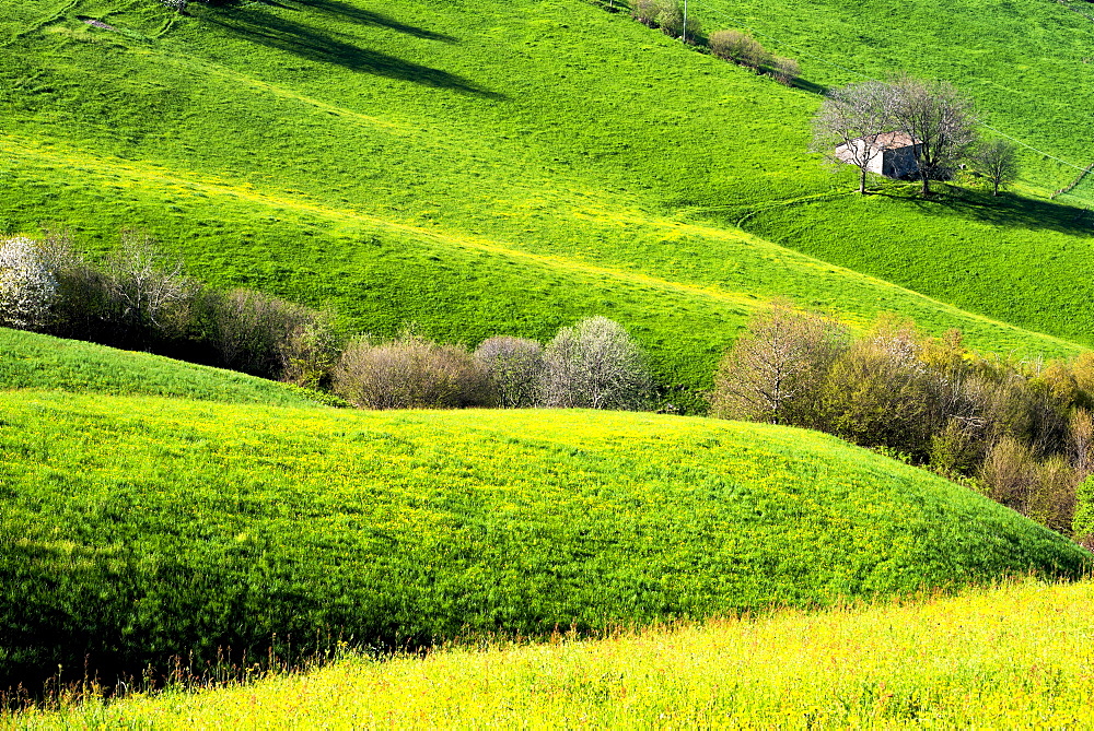 Hills of Bergamo in spring, Bergamo province, Lombardy district, Italy, Europe