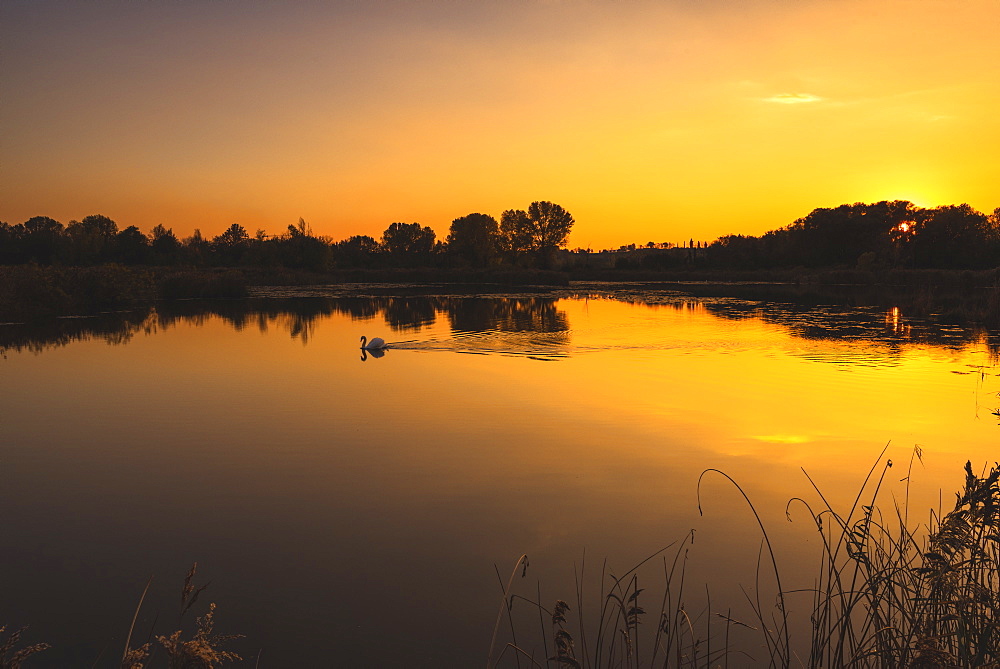 Torbiere del Sebino Natural Reserve, Brescia, Lombardy district, Italy, Europe