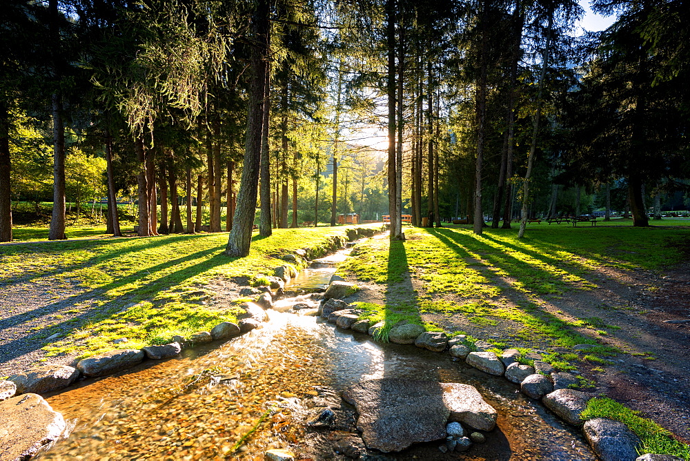 Morning in the park in Val Sozzine, Ponte di Legno, Brescia province, Lombardy, Italy, Europe