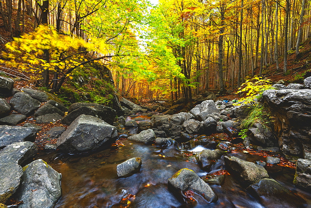 Autumn at the Dardagna waterfalls, Tosco Emiliano Apennines, Apuan Alps, Lizzano in Belvedere, Emilia Romagna, Italy, Europe