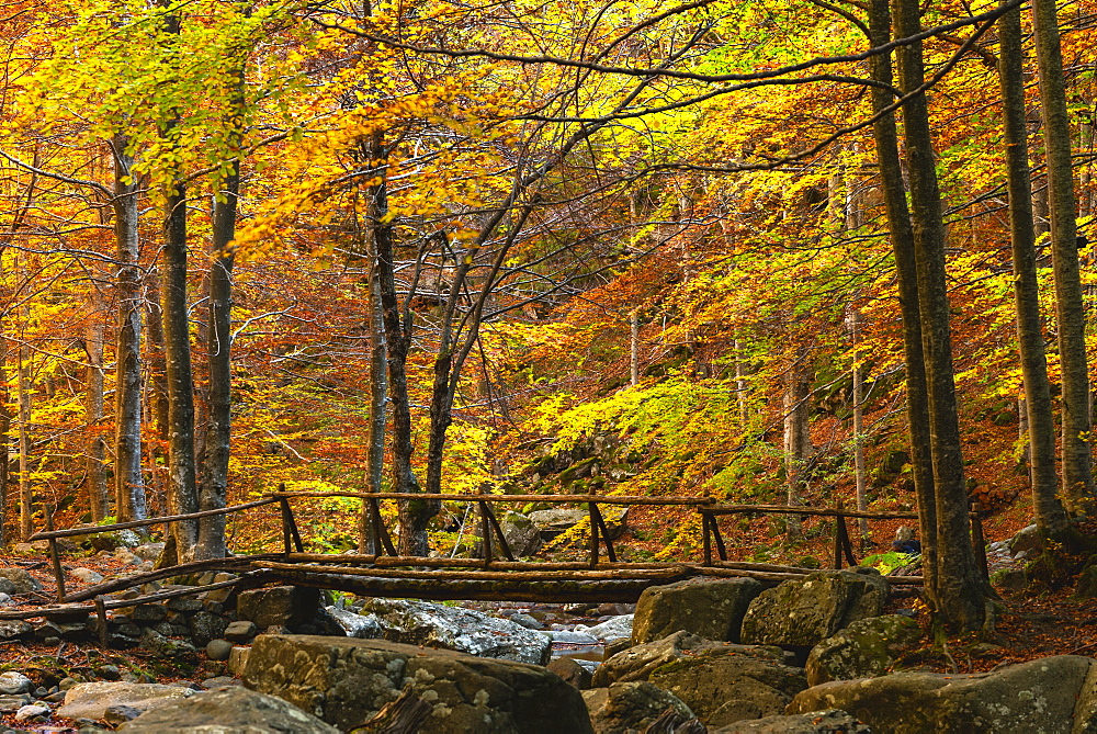 Autumn at the Dardagna waterfalls, Tosco Emiliano Apennines, Apuan Alps, Lizzano in Belvedere, Emilia Romagna, Italy, Europe