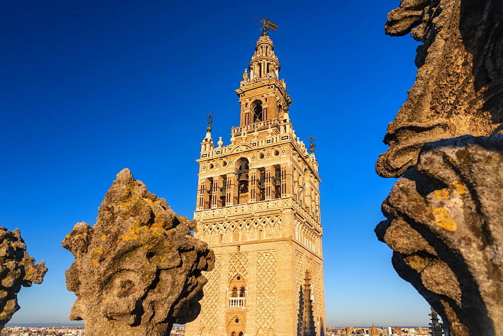 La Giralda, the bell tower of the Cathedral of Seville from the rooftop of the Cathedral, UNESCO World Heritage Site, Seville, Andalucia, Spain, Europe