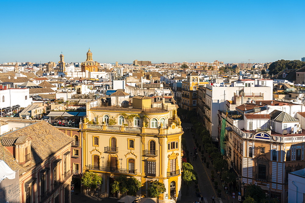 View of the historic center of Seville from the top of the Cathedral of Seville, Seville, Andalucia, Spain, Europe