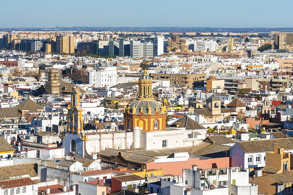 View of the historic center of Seville from the top of the Cathedral of Seville, Seville, Andalucia, Spain, Europe