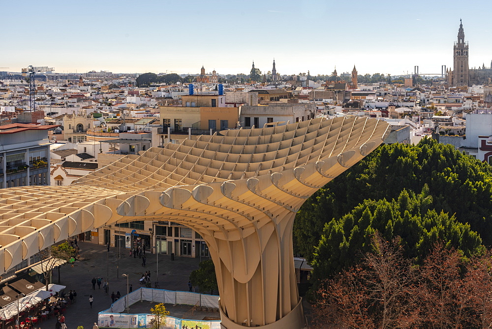 Setas de Sevilla, Metropol Parasol a huge wooden modern architecture structure with Seville historic buildings in the background, Seville, Andalucia, Spain, Europe