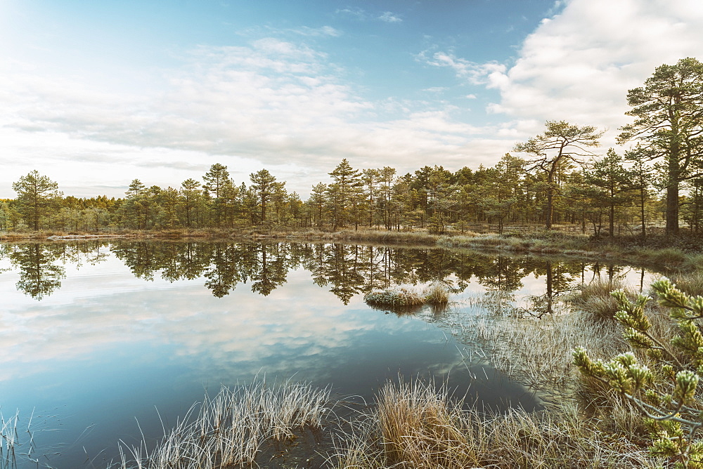 Lahemaa National Park early in the morning in autumn, northern Estonia, Europe