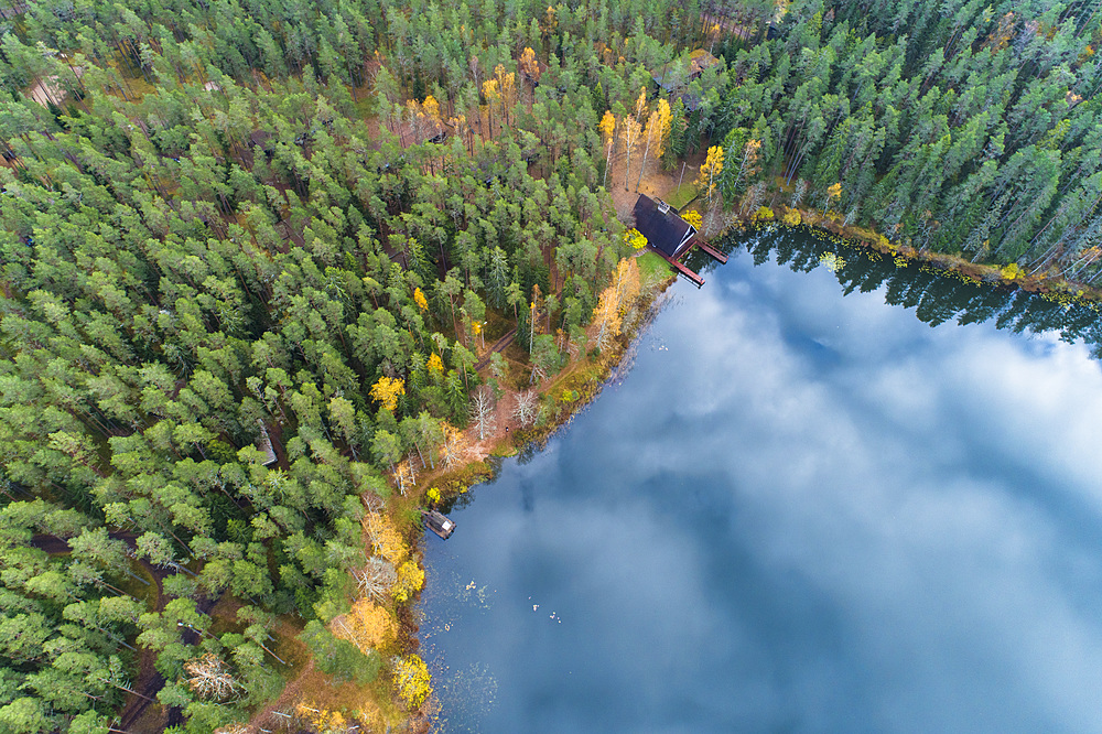 Viitna Lake in autumn from above, Laane-Viru, Estonia, Europe