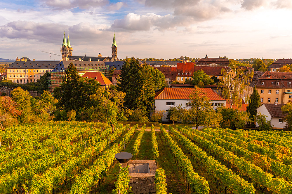 Wine fields by Altenburg, old fortress in Bamberg, UNESCO World Heritage Site, Bavaria, Germany, Europe