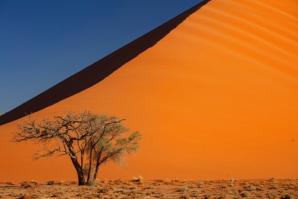 Sossusvlei National Park, sunset at Dune along the main highway to Deadvlei, Namibia, Africa