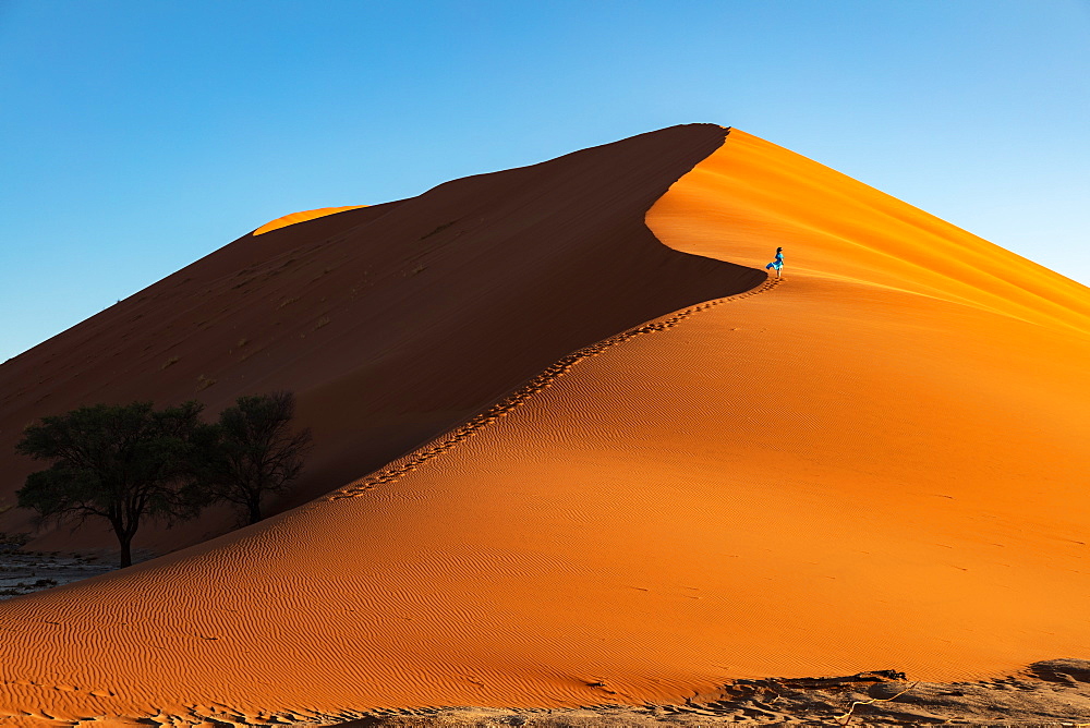 Drone shot of model Climbing Dune 13 at sunrise, Sossusvlei, Namibia, Africa