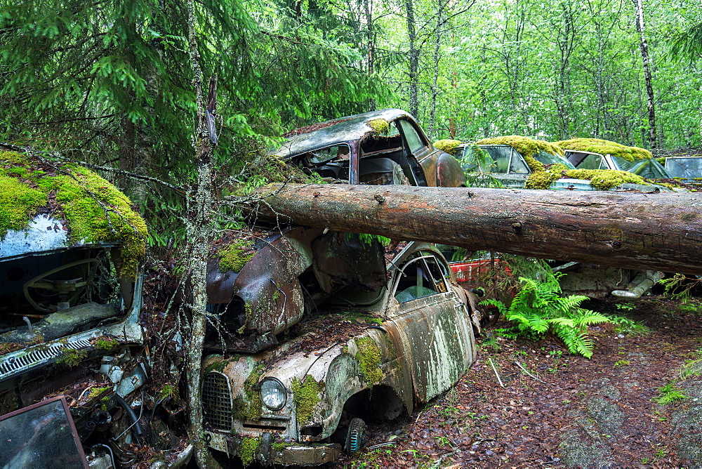 Bastnas Car Cemetery deep in the forests of the region of Varmland in Sweden, Scandinavia, Europe