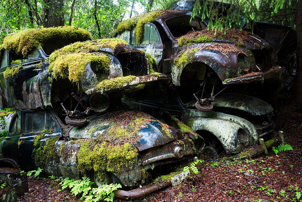 Bastnas Car Cemetery deep in the forests of the region of Varmland in Sweden, Scandinavia, Europe