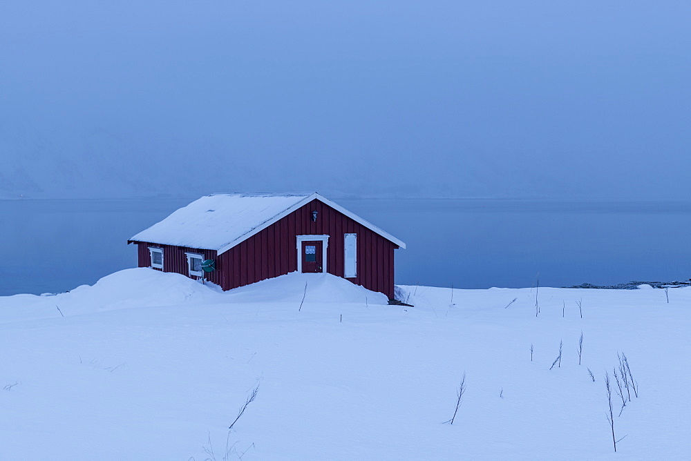 Red house partly buried in snow in winter scene on Lofoten Islands, Arctic, Norway, Europe