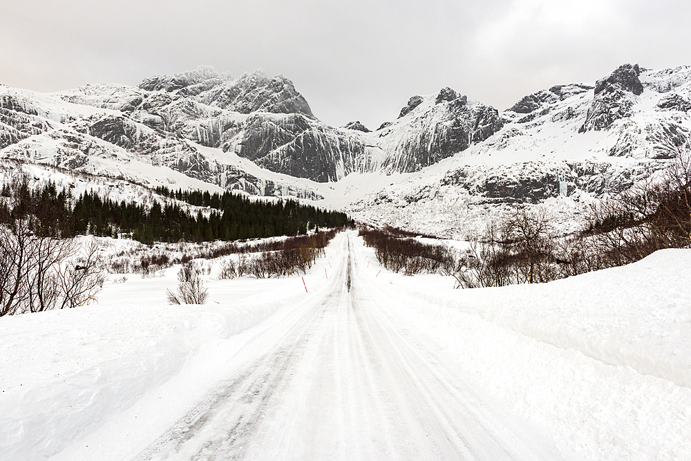 Snow covered road in arctic winter conditions, Lofoten, Nordland, Arctic, Norway, Europe