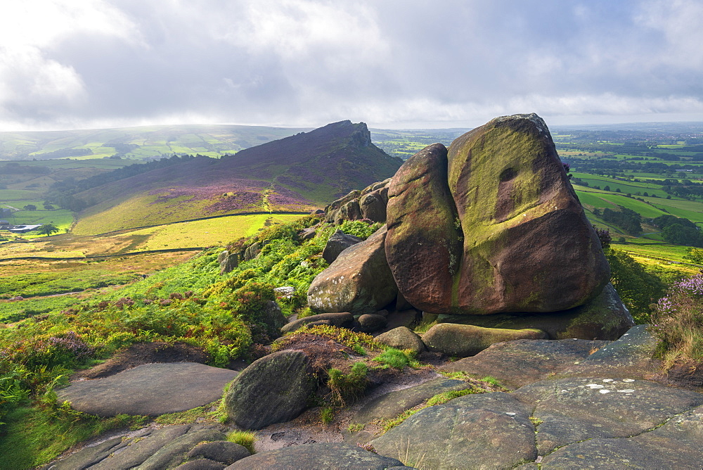 The Roaches and view of Hen Cloud in summer covered in heather, Peak District National Park, Staffordshire, England, United Kingdom, Europe