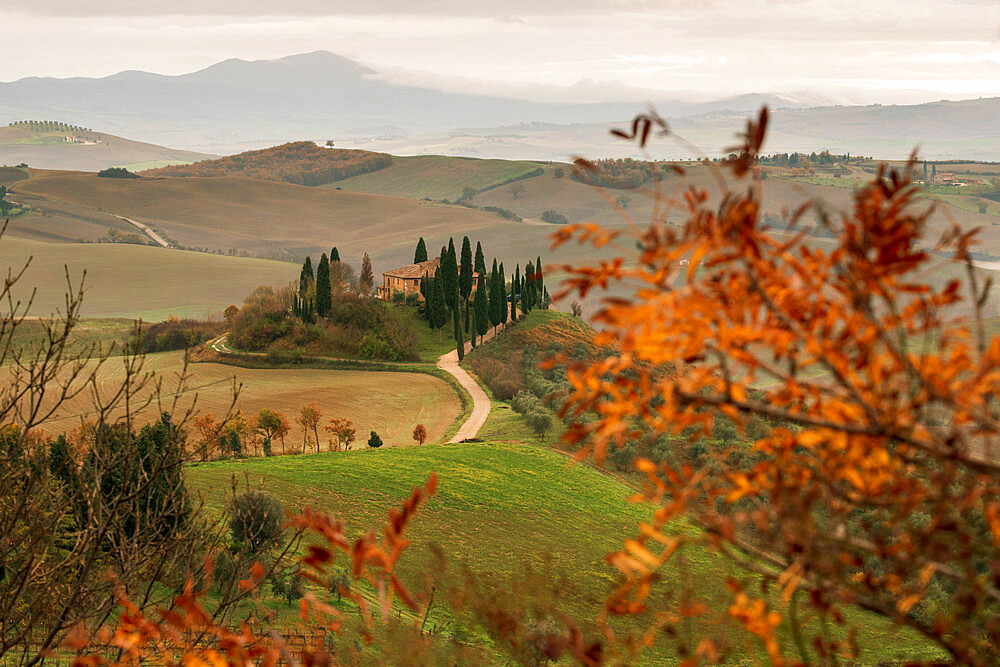 Podere Belvedere and Tuscan countryside at dawn near San Quirico d'Orcia, Tuscany, Italy, Europe