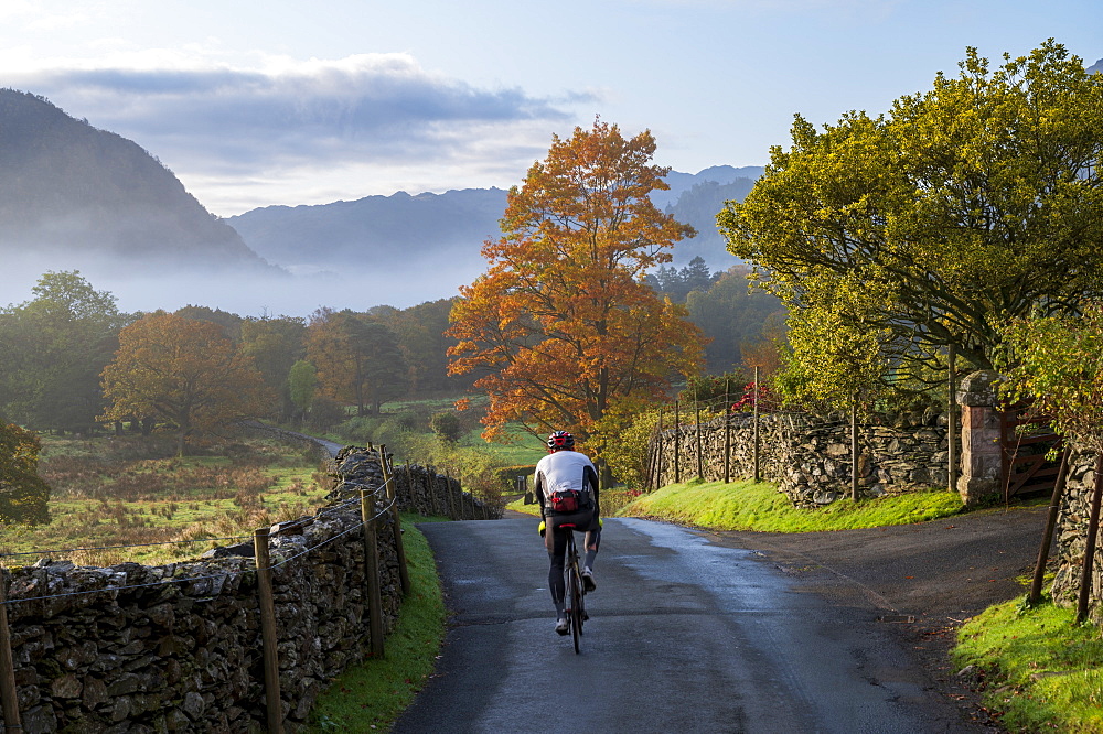 Cyclist riding on lane in autumn, Borrowdale, Lake District National Park, UNESCO World Heritage Site, Cumbria, England, United Kingdom, Europe