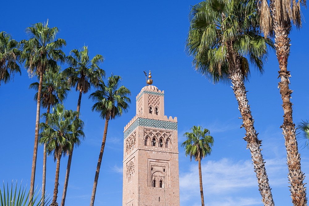 Koutoubia Mosque with palm trees, UNESCO World Heritage Site, Marrakech (Marrakesh), Morocco, North Africa, Africa