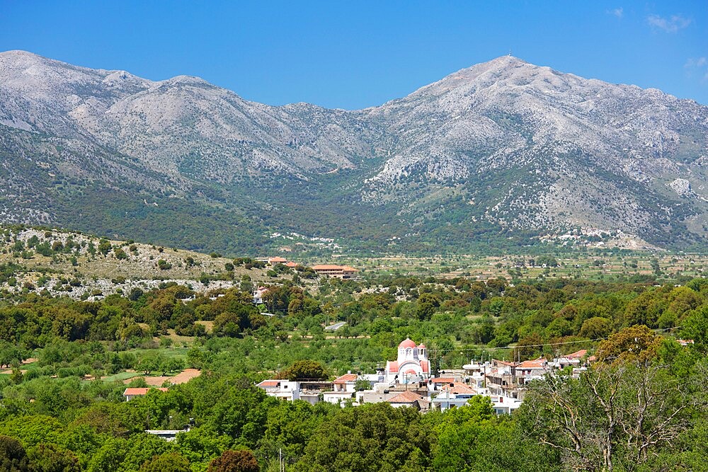 View from wooded hillside to the village of Mesa Lasithi, near Tzermiado, Lasithi Plateau, Lasithi (Lassithi), Crete, Greek Islands, Greece, Europe