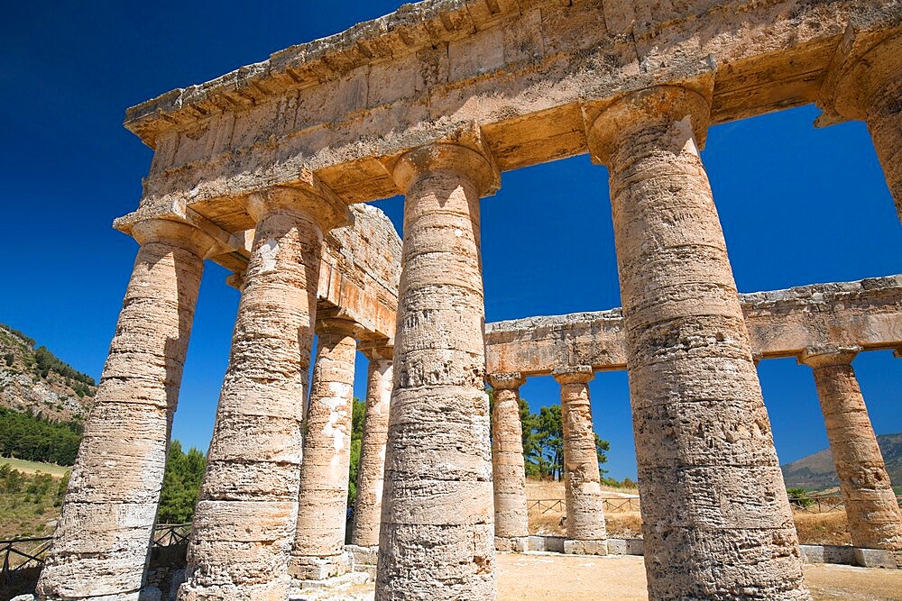 Low angle view of a section of the Doric temple at the ancient Greek city of Segesta, Calatafimi, Trapani, Sicily, Italy, Mediterranean, Europe