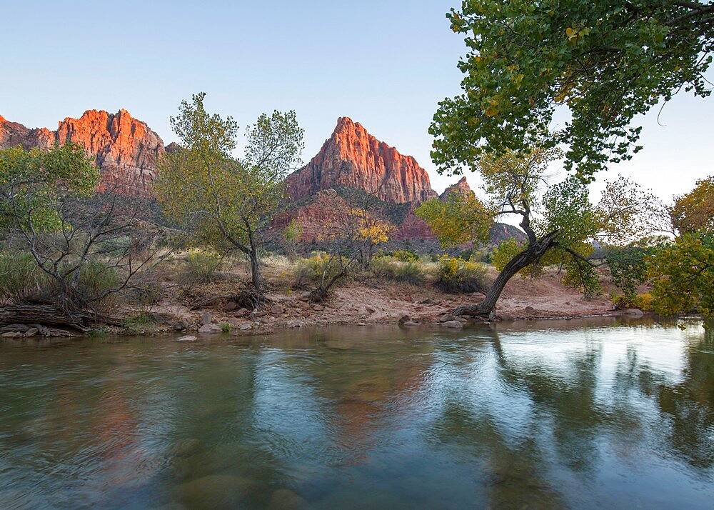 View from the Pa'rus Trail across the Virgin River to the Watchman at sunset, autumn, Zion National Park, Utah, United States of America, North America