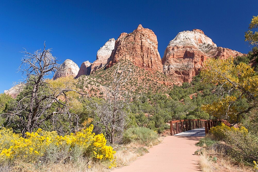 View along the Pa'rus Trail to Mount Spry and the East Temple, autumn, Zion National Park, Utah, United States of America, North America