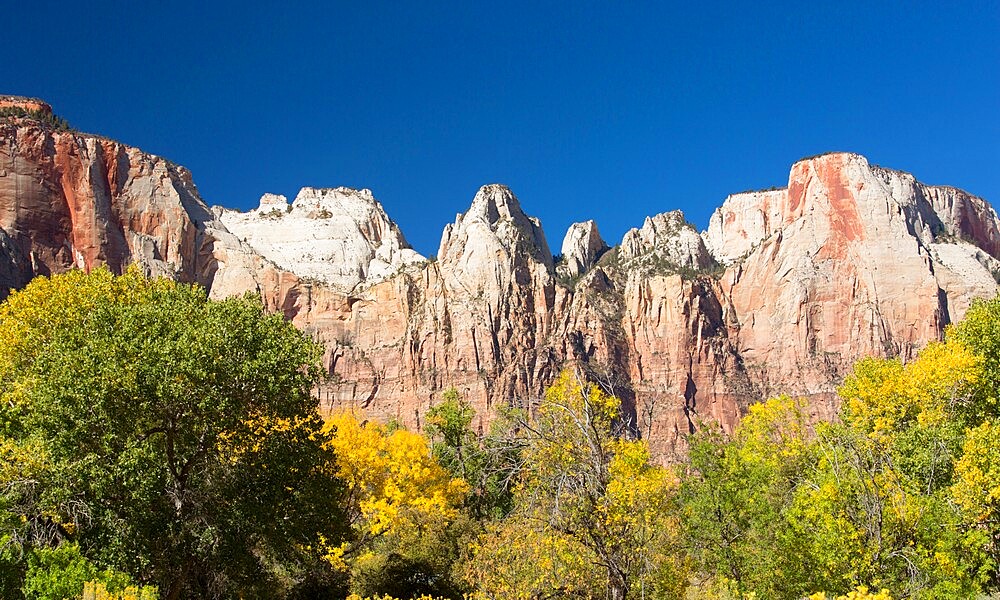 View from the Pa'rus Trail across woodland to the Towers of the Virgin, autumn, Zion National Park, Utah, United States of America, North America