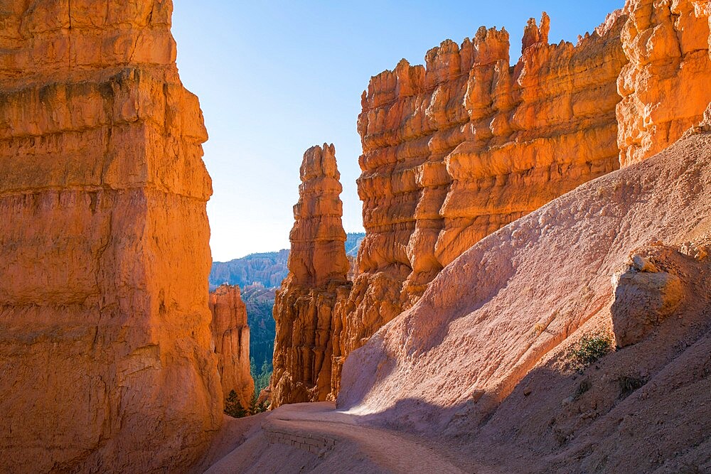 High cliffs towering above the Navajo Loop Trail below Sunset Point, Bryce Canyon National Park, Utah, United States of America, North America