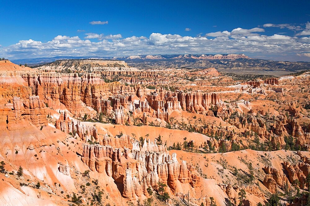 View over the Queen's Garden from the Rim Trail at Sunset Point, Bryce Canyon National Park, Utah, United States of America, North America