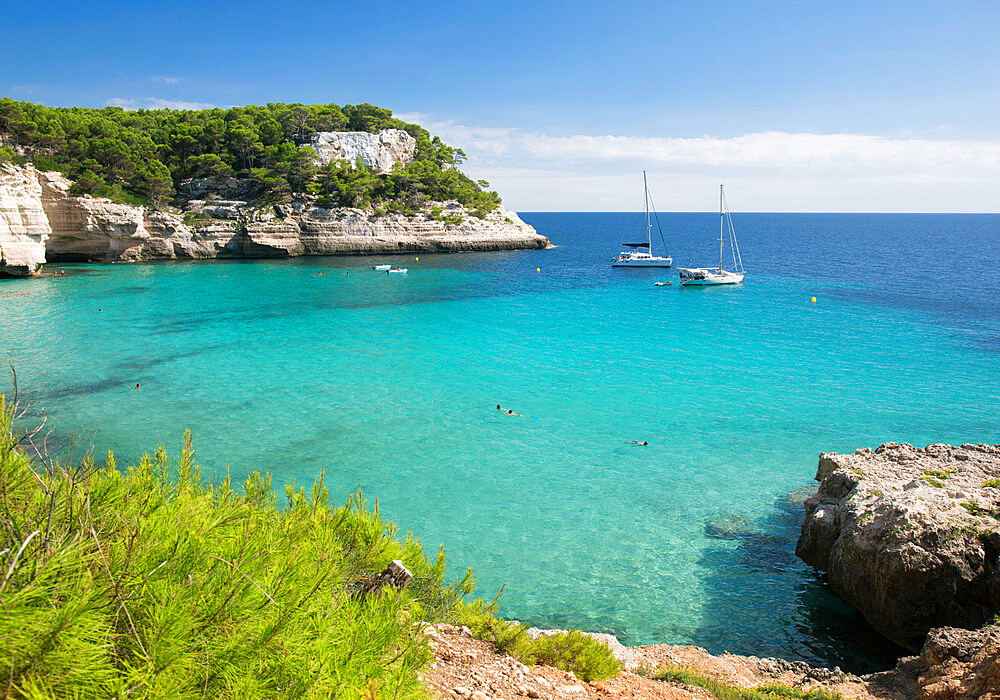 View over the turquoise waters of Cala Mitjana to pine-clad limestone cliffs, Cala Galdana, Menorca, Balearic Islands, Spain, Mediterranean, Europe