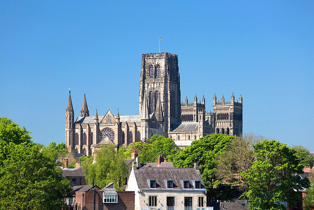 View across treetops to Durham Cathedral in spring, UNESCO World Heritage Site, Durham, County Durham, England, United Kingdom, Europe