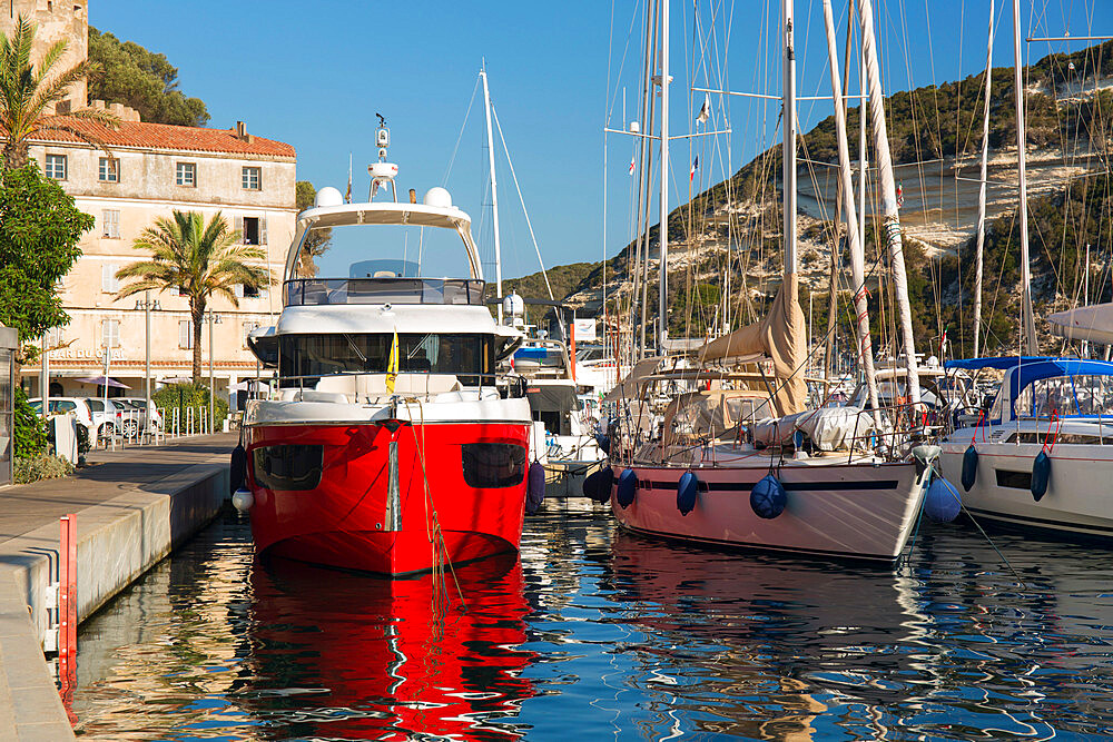 View across the harbour from quayside, early morning, colourful boats moored at jetty, Bonifacio, Corse-du-Sud, Corsica, France, Mediterranean, Europe